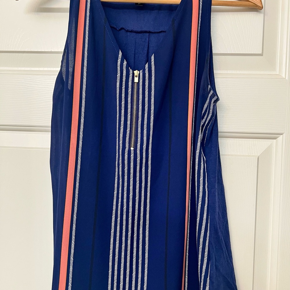 Express Blue and Pink Striped Tank Top